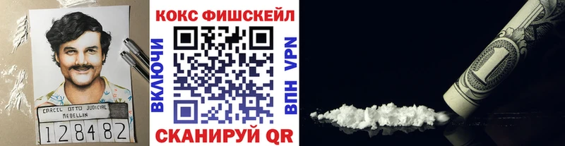 Cocaine Fish Scale  Купить закладки  Новотроицк 