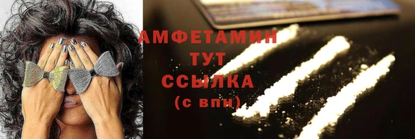 шишки Аркадак