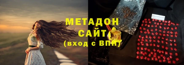 шишки Аркадак