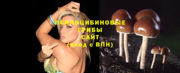 каннабис Арсеньев