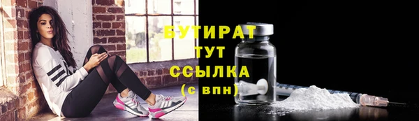 шишки Аркадак