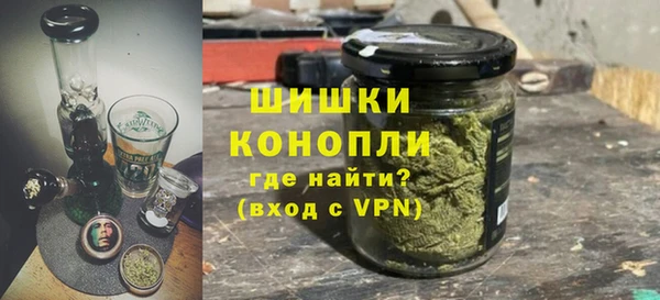 шишки Аркадак