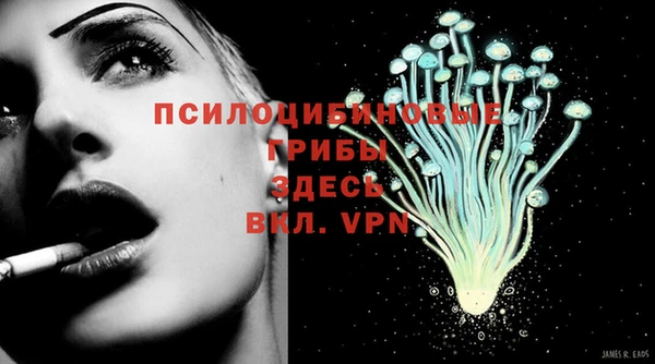 каннабис Арсеньев