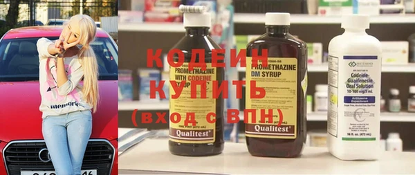 шишки Аркадак